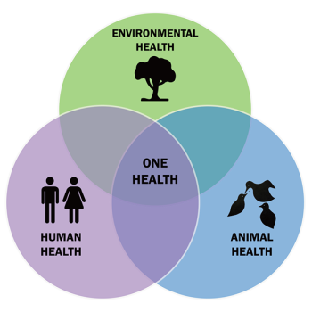 One Health - Environmental Health-Human Health- Animal Health